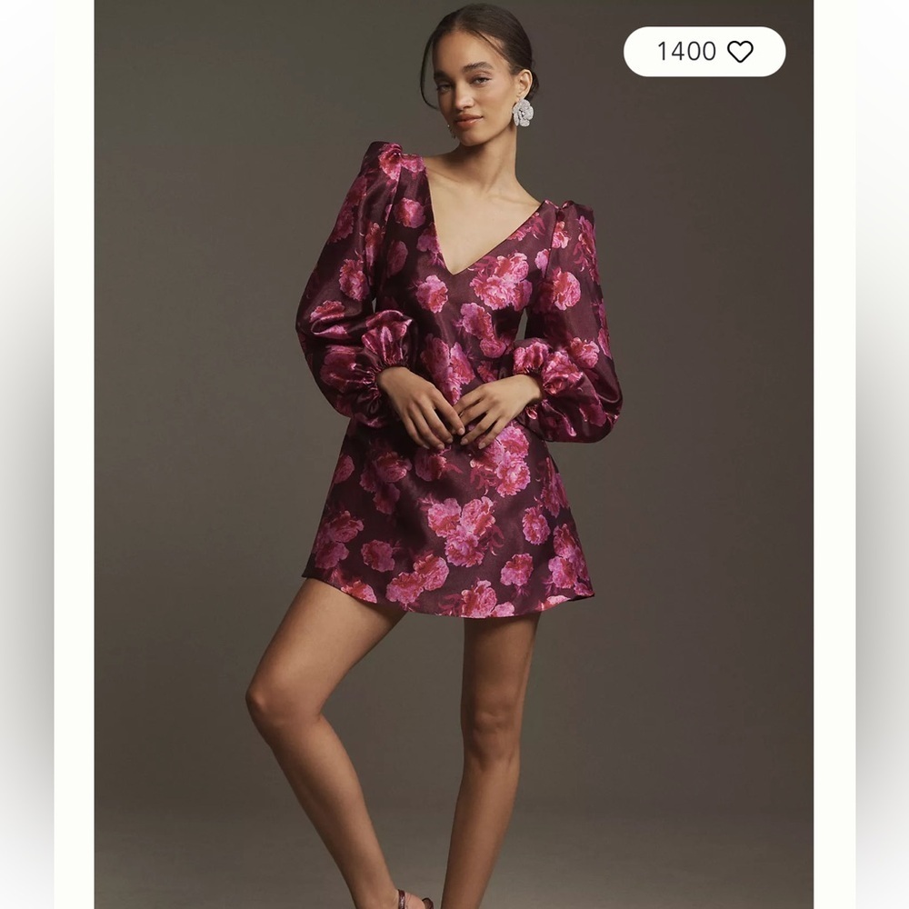 BHLDN NWT Aliana Long Sleeve V-Neck Floral Organza Mini Dress